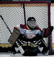 little goalie